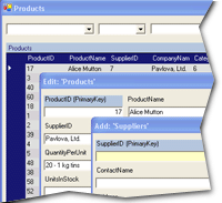 DataForms.Net with Source screenshot