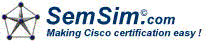 SemSim CCNA Subnetting Tutorial screenshot